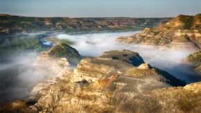 USA North Dakota Theodore Roosevelt Nationalpark Foto iStock cliffordpugliese